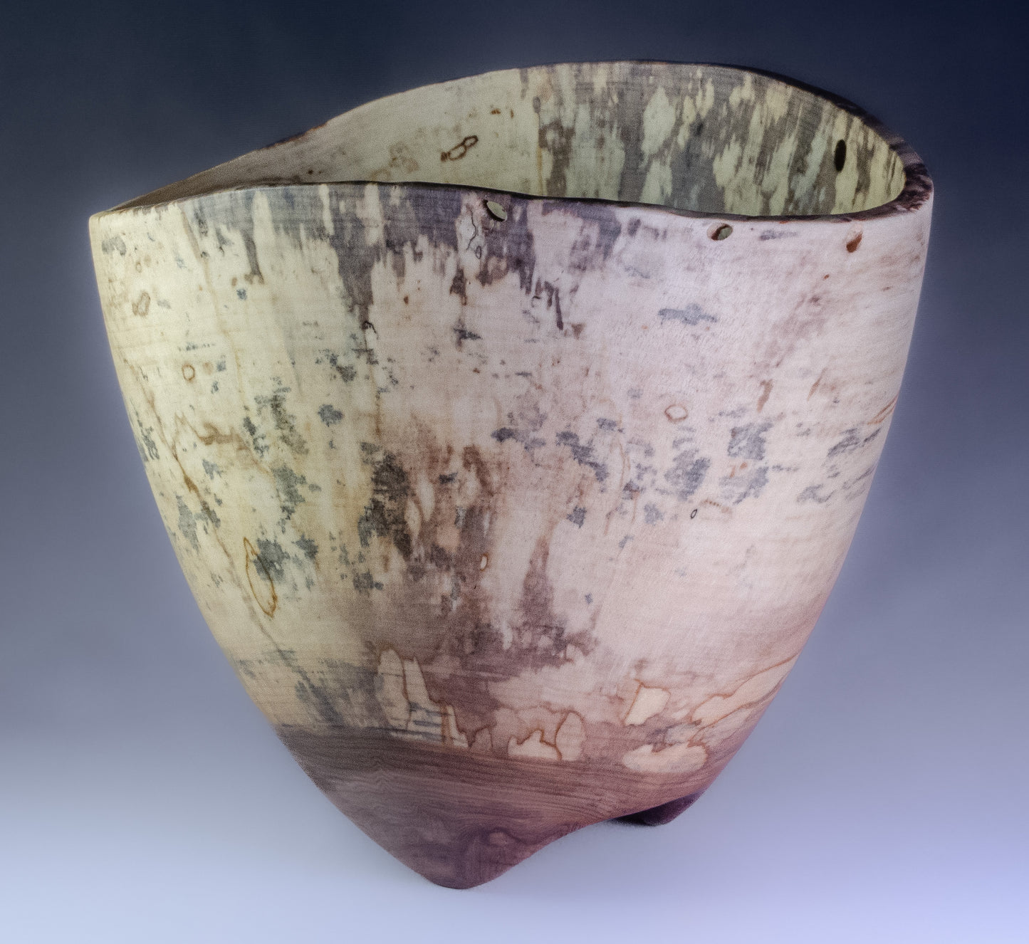 Spalted Sycamore Natural Edge w/ Carved Feet