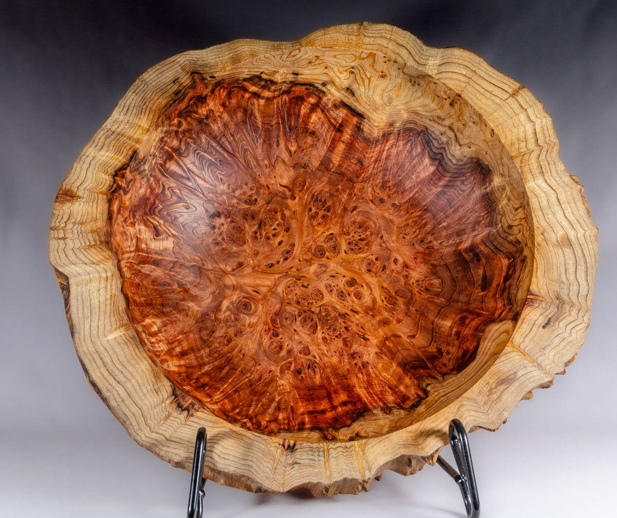 Old Growth Redwood Burl