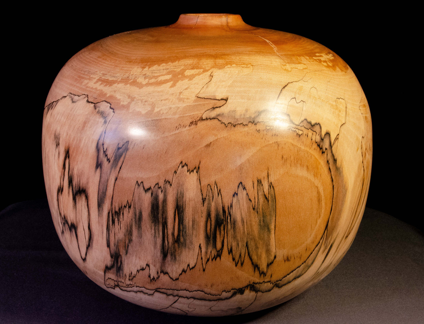 Large Graphic Sycamore Hollow Form