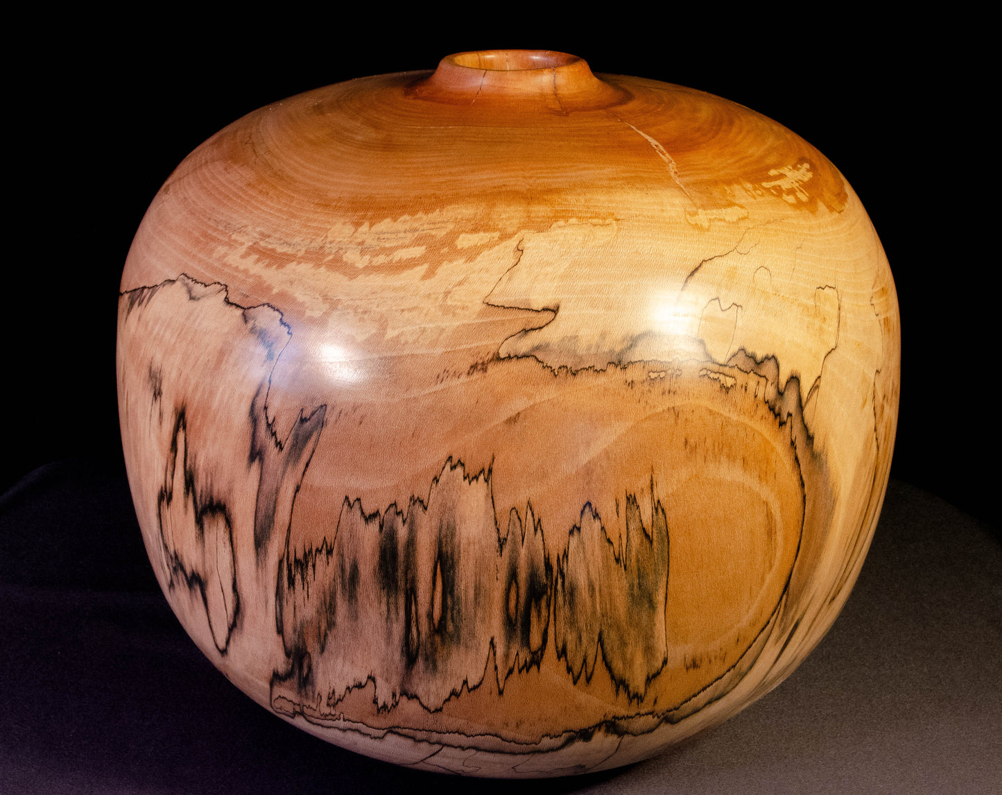 Large Graphic Sycamore Hollow Form