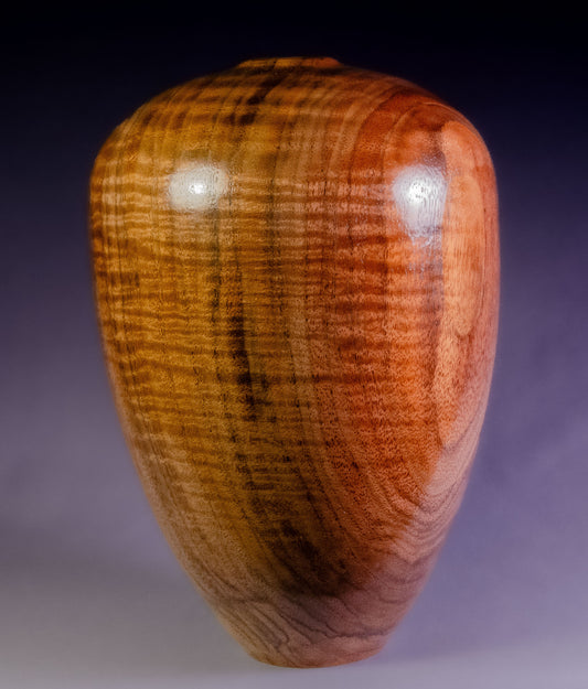 Curly black walnut hollow form