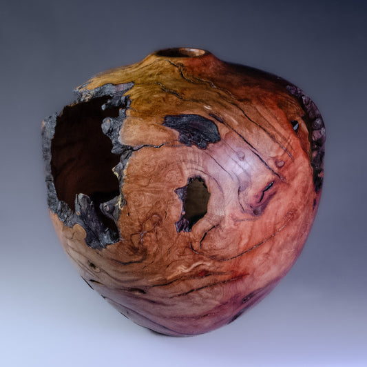 Manzanita Hollow Form