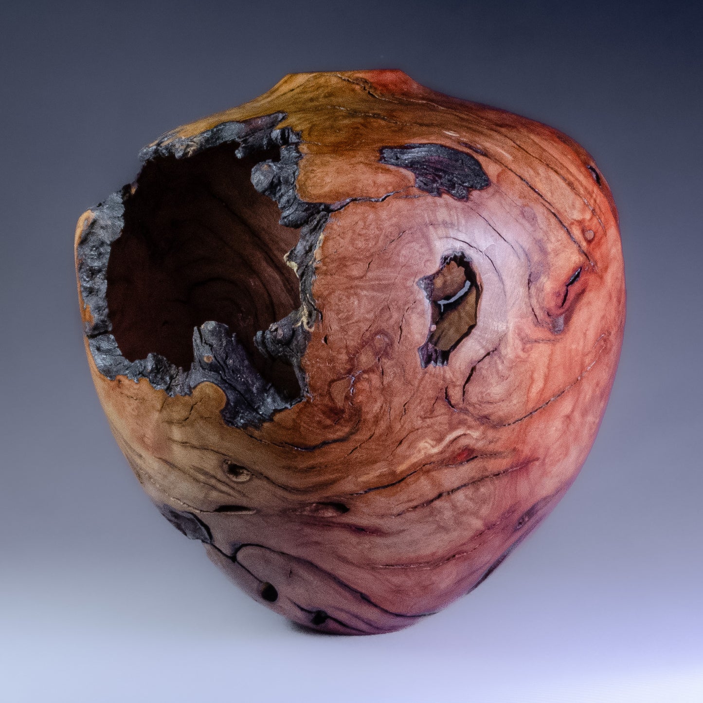Manzanita Hollow Form