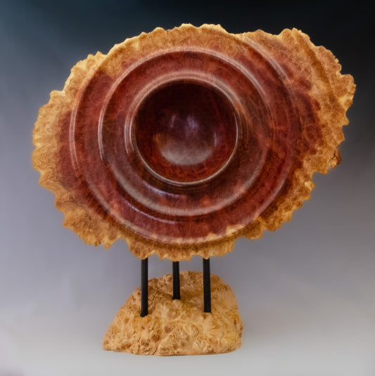 "Primordial Soup Bowl"