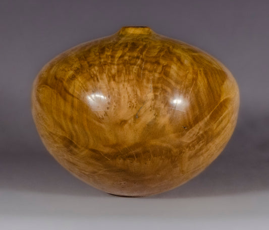 Brown mallee burl hollow form