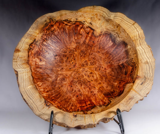 Old Growth Redwood Burl